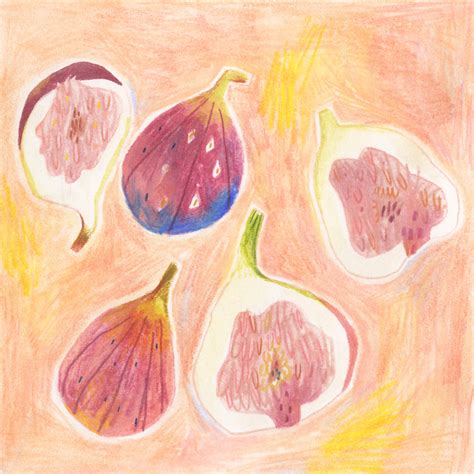Fig Illustrations On Behance