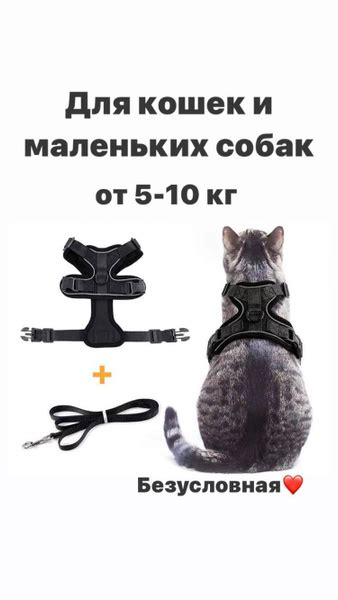 Шлейка для кошек и собак; поводок для котят и собак светоотражающий ...
