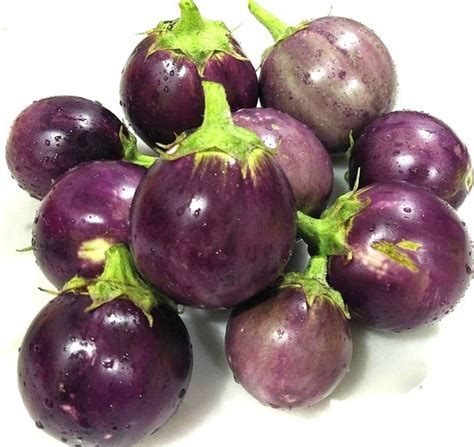 Round Purple Eggplant Seeds Heirloom Organic Etsy