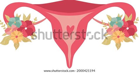 Female Reproductive System Womb Ovary Vagina เวกเตอร์สต็อก ปลอดค่า