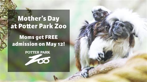 Mothers Day At The Zoo Mothers Get Free Admission