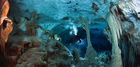 ¿cómo Se Formaron Cuevas Y Cenotes Espeleogénesis Karst Geochemistry