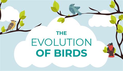 The Evolution of Birds - Wise Owl Blog by Love Garden Birds