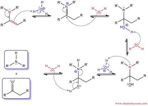 Enamine Hydrolysis Chemistryscore