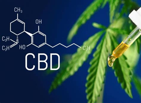 Qué es el CBD y para qué sirve Terpescience