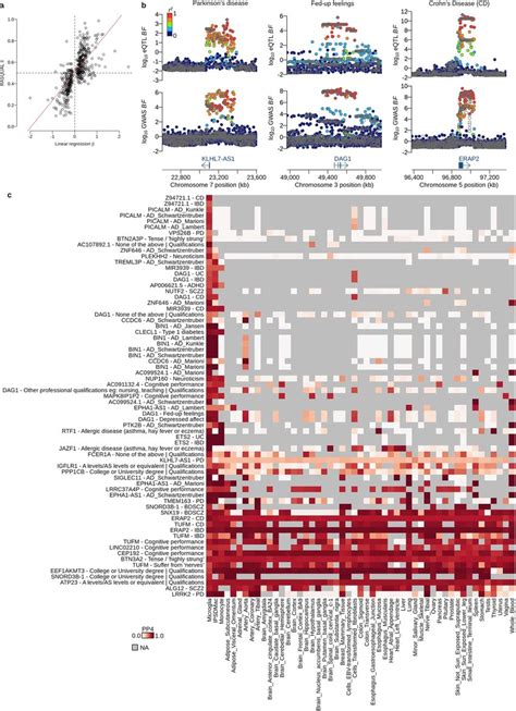 Colocalisation Of Eqtls With Various Gwas Traits A Eqtl Effect Size Download Scientific