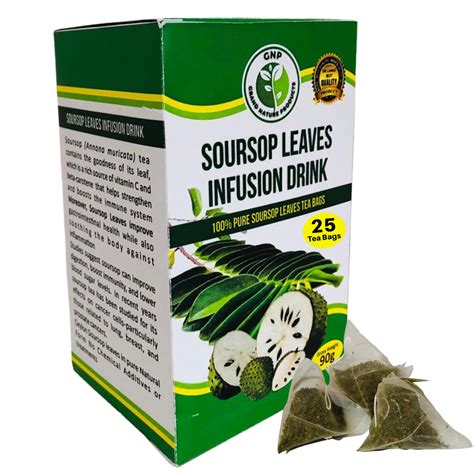 Wellen Organics Organic Soursop Tea Bags 25 Pyramid Tea Bags Graviola Tea Hojas De