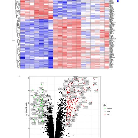 The Expression Characteristics Of Genes In Osteogenic−induced