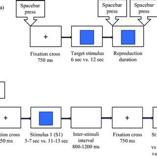 Schematic Illustrations Of A Trial In The Single Temporal A