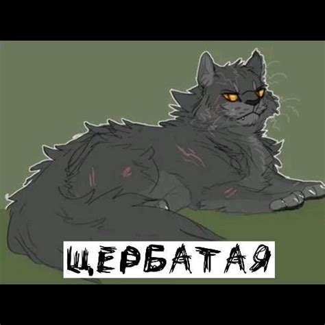 [Видео] «Мои любимые коты воители из книги ,,как стать диким!''» в 2024 ...