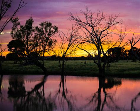 Experience - Western Downs Queensland