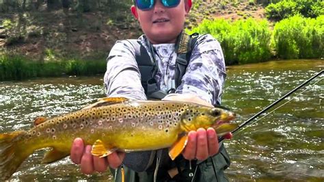 Fly Fishing And Catching Big Brown Trout In Colorado Youtube