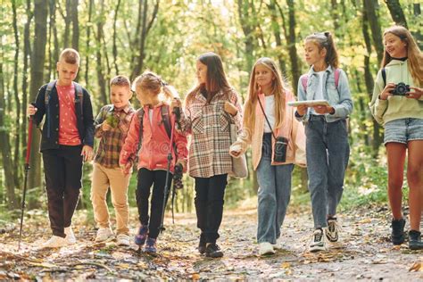 Walking Together Kids In Green Forest At Summer Daytime Stock Image