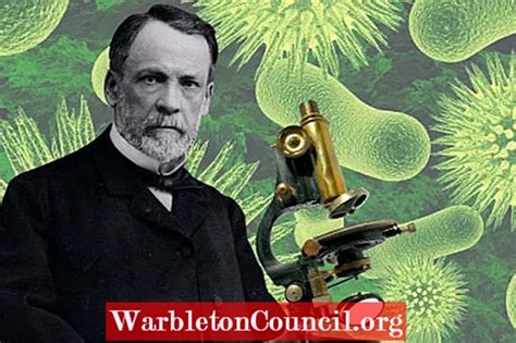 Louis Pasteur Biography And Summary Of His Contributions To Science