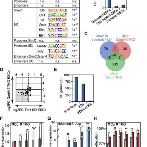 Pdf Gadd Promotes Locus Specific Dna Demethylation And C Cycling