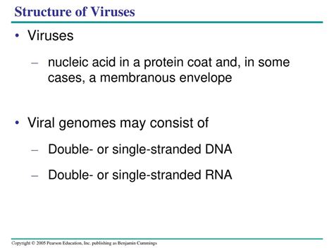 The Genetics Of Viruses And Bacteria Ppt Download