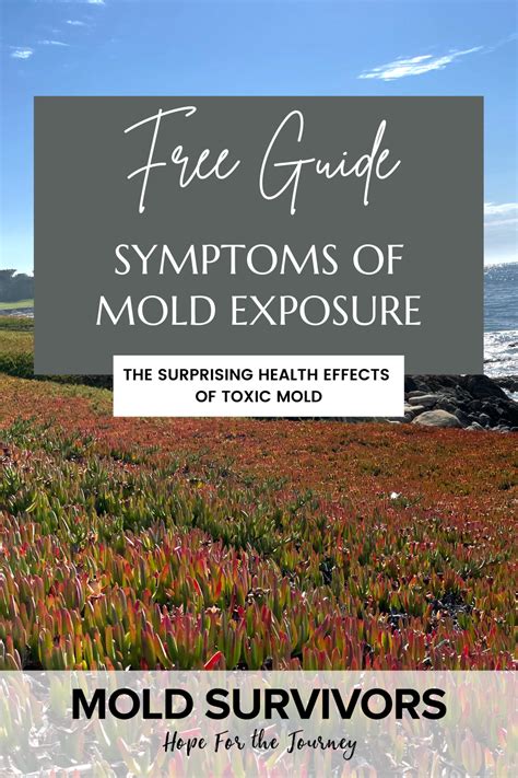 Symptoms of Mold Exposure — Mold Survivors