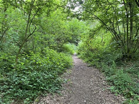 Footpath Through Bazeley Copse Mr Ignavy Cc By Sa Geograph