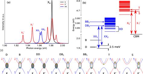 Exciton Trion And Biexciton Optical Spectra And Eigenstates A