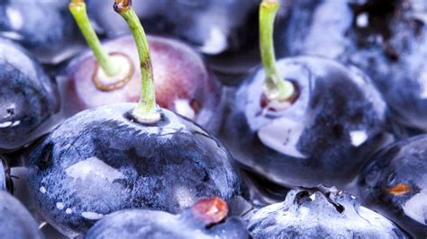 Fruit Blueberry Macro Desktop Wallpapers Hd Desktop And Mobile