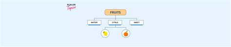 What Is Multilevel Inheritance In C Scaler Topics