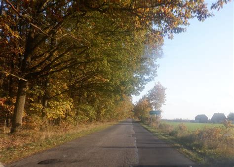 Na Kujawach i Pomorzu znów zagości niemal letnia aura Już od piątku