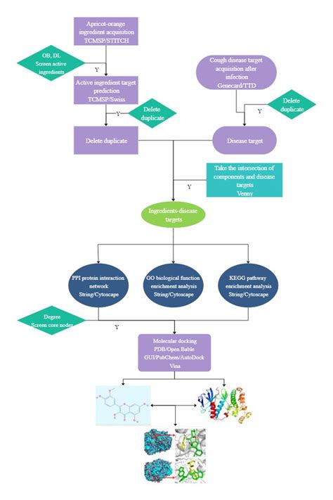 Biology Flowchart