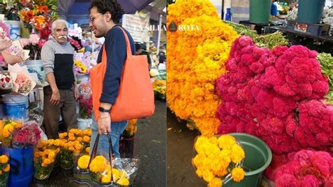 Día De Muertos ¿cuánto Gastan Los Chilangos En Flor De Cempasúchil