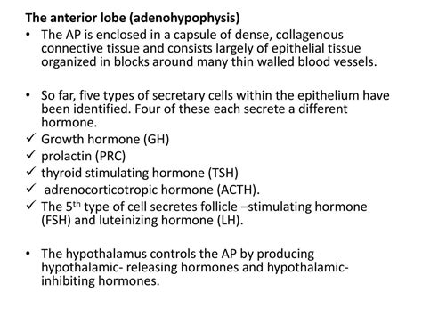 Endocrine System Ppt Download