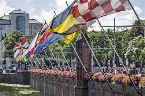 Flags Of The Provinces Editorial Stock Photo Image Of Flowerlined