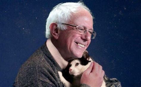 The Photoshop Of Bernie Sanders Holding A Cat Is Kind Of The Best