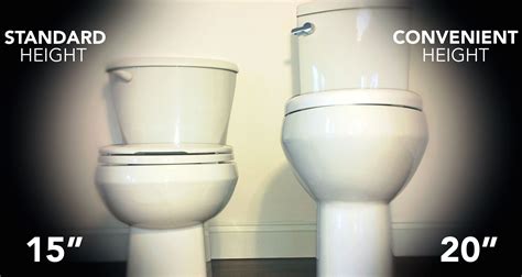 Tallest Toilet Bowl Height