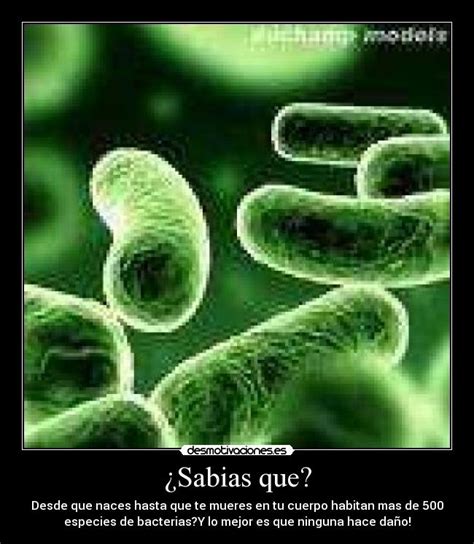 Im Genes Y Carteles De Bacterias Pag Desmotivaciones