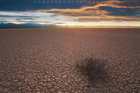 Ivanpah Dry Lake | Shutterbug