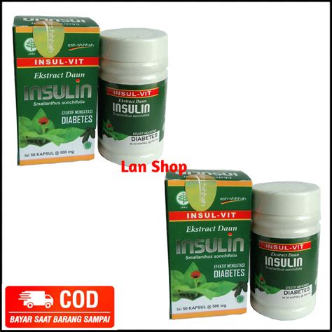 Paket Botol Kapsul Ekstrak Daun Insulin Ash Shihhah Original Insulvit