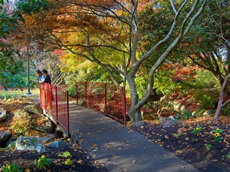 Beacon Hill Park In Victoria Bccanada Editorial Stock Image Image Of