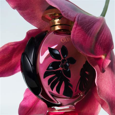 Perfume Olymp A Flora Rabanne Feminino Eau De Parfum Ml Beleza Na Web