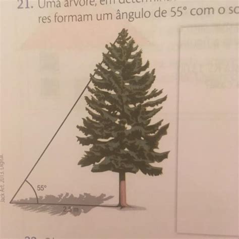 Uma árvore em determinada hora do dia projeta uma sombra de 2 5 m