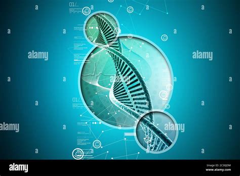 Human DNA Strand Stock Photo Alamy