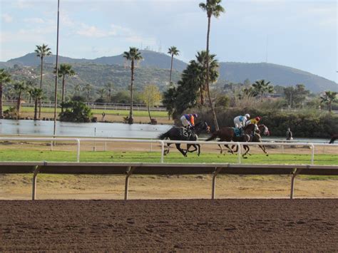 Gamblers are debating the accuracy of recent turf paradise picks 2