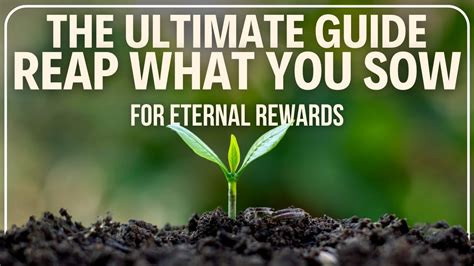 The Ultimate Guide To Reap What You Sow For Eternal Rewards Youtube