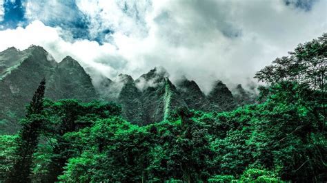 ДЖУНГЛИ | Landscape walls, Mountain landscape, Mural wallpaper