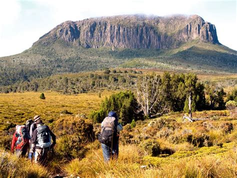 Overland Track Tasmania Review