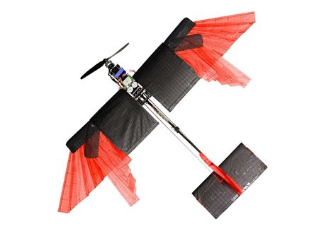 Artificial Feathers Let Drones Morph Their Wings Like Birds Ieee Spectrum