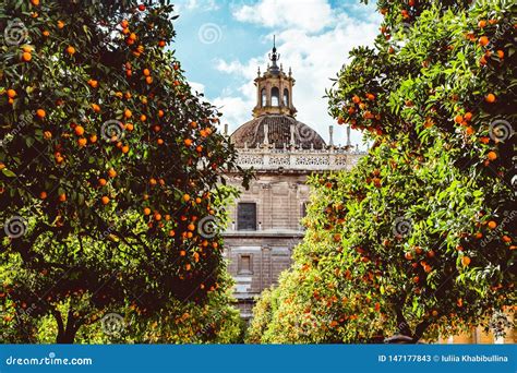 Spain, Andalusia, Seville, the Cathedral Bell Tower Seen from the ...