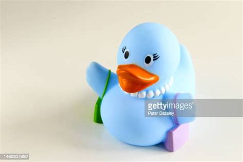 60 Rubber Duck Collection Stock Photos, High-Res Pictures, and Images ...