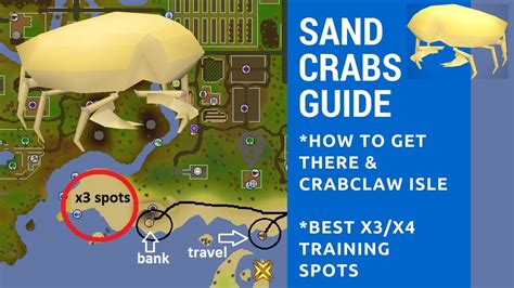 Ammonite Crabs / Loot from logging into an empty world at ammonite crabs. - Piwos Mako