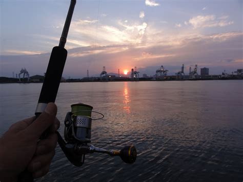 「私の投げるとこに必ず太刀魚がいるんです」的な太刀魚大爆釣 その2 風来坊はどこへいく・・・六姉妹のアウトドア