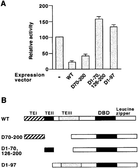 The Te I Subdomain Of C Ebp Is Required For The Inhibition Of Hnf Gene