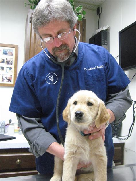 Dunloggin Veterinary Hospital 23 Photos And 12 Reviews Veterinarians